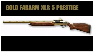 WARFACE-GOLD FABARM XLR 5 PRESTIGE  STRIPE