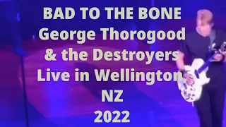 Bad to the Bone - George Thorogood & the Destroyers