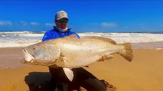 BLESSED with ANOTHER BIG KOB / MULLOWAY! I had a bite every throw! PERSEVERANCE PAID OFF!