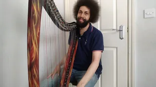 Can't Help Falling in Love - Elvis Presley (Lever Harp Cover arrangement by Christy-Lyn)
