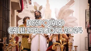 4K || DESPOJADO REVIRÁ A ZARAGOZA 2024 || VIRGEN DE LOS REYES || BAJO PALIO CARIDAD