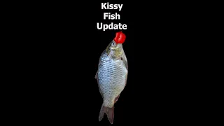 Kissy Fishy VR Dev Update