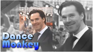 Dance Monkey || Benedict Cumberbatch