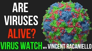 Are Viruses Alive?