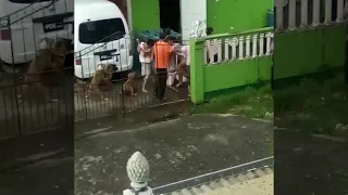 Chinese fight at home in St. Vincent