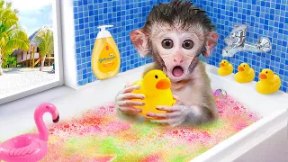 🐵 Cute monkey baby bath in the rainbow bathtub with duck | Maymun Animals Home Monkey Cartoon Video