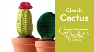 How to Crochet Cactus
