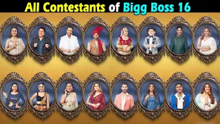 Bigg Boss 16 all Contestants list Name and Details