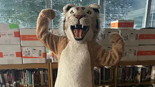 I Became A Wildcat Mascot For A School Event…