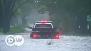 "Візерунок дня": Ураган "Ірма" вдарив по Флориді (11.09.2017) | DW Ukrainian