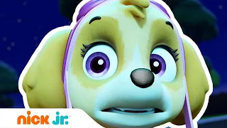 Щенячий патруль | Щенки спасают призрака 👻| Nick Jr. Россия