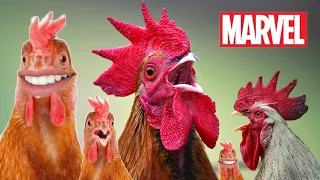 Chicken Song part 27 (original) | The hens’ dancing song | 2023 #27