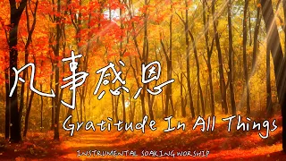 Gratitude In All Things | Soaking Music | Piano Music | Prayer | 1 HOUR Instrumental Soaking Worship