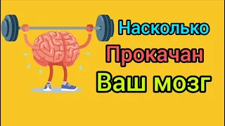 ТЕСТ НА ОБЩИЕ ЗНАНИЯ / 12 ВОПРОСОВ