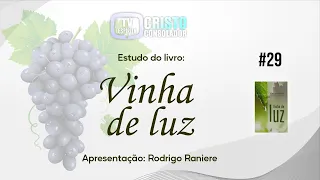 ESTUDO DO LIVRO "VINHA DE LUZ" - #29