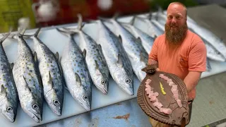 Spanish Mackerel Mayhem & Sashimi￼!!!! (Catch, Clean, Cook)