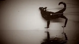 Shadow puppet cat walking on water