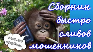 Подборка быстрых сливов телефонных мошенников от имени Сбера и МТС.