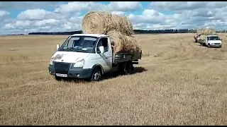 газель, возим сено. рулоны