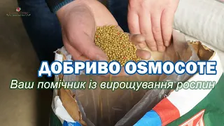 ✅ Добриво Osmocote 👉 Ваш помічник у вирощуванні рослин. Купити Осмокот в Україні