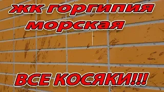 КАК ПРИНИМАТЬ КВАРТИРУ НА ПРИМЕРЕ ЖК ГОРГИПИЯ МОРСКАЯ, РАЗВОД ДОЛЬЩИКОВ - ЛИШНИЕ КВАДРАТЫ!!!