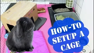 How to Set Up a Rabbit Cage | 2018