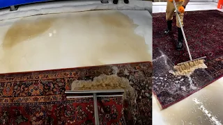 How to clean an Extremely Dirty Karastan Wool Rug || P.O.V Rug Cleaning