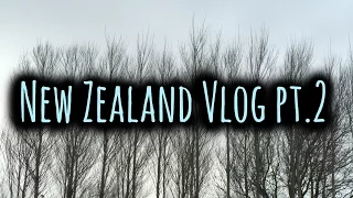 New Zealand VLOG part 2