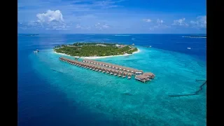 Trip to Reethi Faru (Maldives)