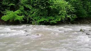 Nature Sounds - River Noises - Peace and Relaxation