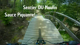 Sentier Du Moulin Sauce Piquante/Beginner Jump Trail