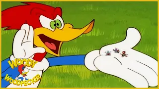Woody Woodpecker Show | Party Animal | Full Episode | Videos For Kids