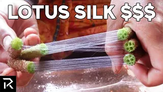 Lotus Silk Is One Of The Most Expensive Fabrics In The World