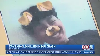 13-year-old boy dies in North County crash