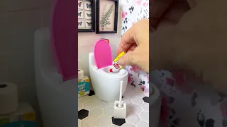 Mini Toilet Cleaning