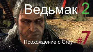 Ведьмак 2  Прохождение с Grey   # 7