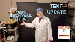 Tent Update - Growing Mushrooms at Home