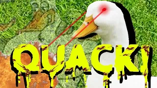 The Horrifying Truth About Ducks
