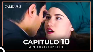 Calikusu Capitulo 10