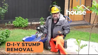 Perform Like a Pro: D-I-Y Stump Removal