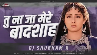 Tu Na Ja Mere Badshah | High Gain Dj Song | Dj Mangesh And Hrushi | Deewana Muje Kar Gaya Remix