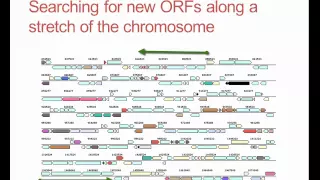 What is gene annotation?