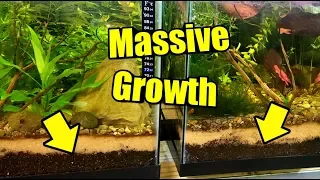 The PERFECT Soil For Aquarium Plants and Planted Tanks