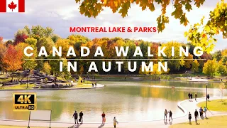 Relaxing Autumn Walk in Montreal, Canada, Nature Sounds, ASMR, Lake, National Park & Forest Sound