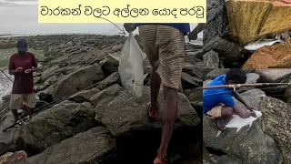 වාරකන් පටන් ගත්තා යලුවනේ ( ඇටනගුල් පරාවු )@FISHTv1129 (වරකන් day 01)