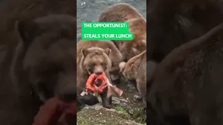 Brown Bear Fishing Styles