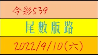 今彩539 『尾數版路』【2022年9月10日(六)】肉包先生