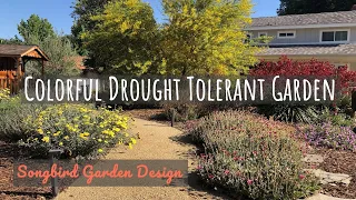 Colorful Drought Tolerant Garden