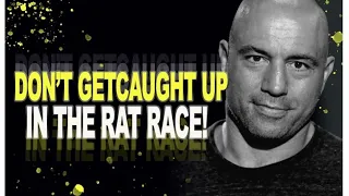 Joe Rogan/ Don't get caught up in the rat race.