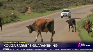 Foot and Mouth Disease | Kouga farmers quarantining